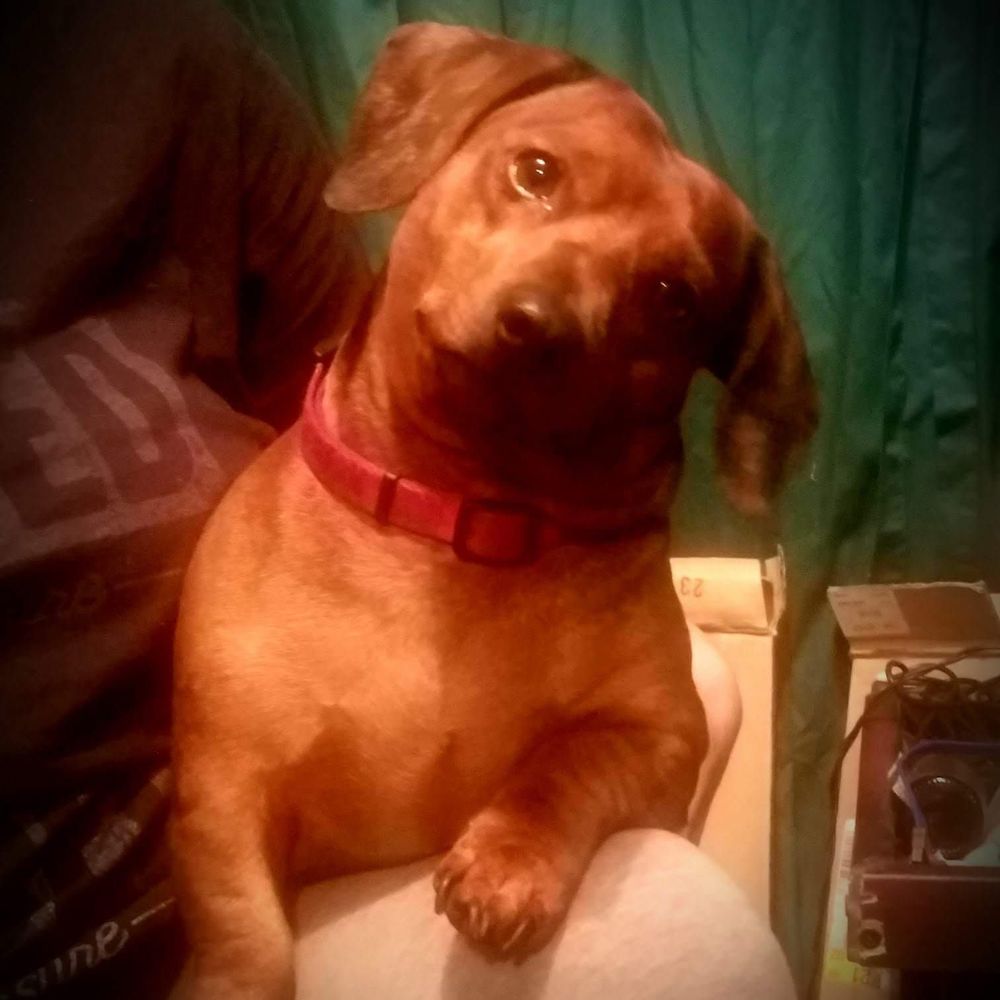 Meet your Posher, Alexis